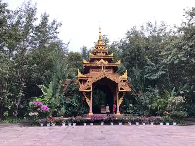 云南景洪～曼听公园,崇佛寺及西双版纳热带花卉园