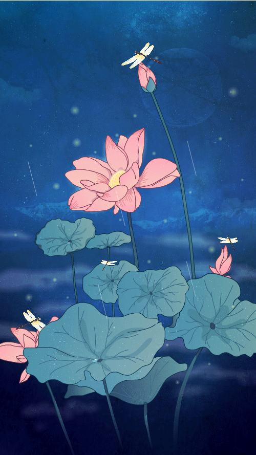 500_889竖版 竖屏gif 动态图 动图