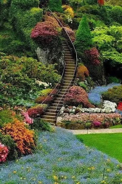 我的抖音生活日记 #风景如画的地方 - 抖音