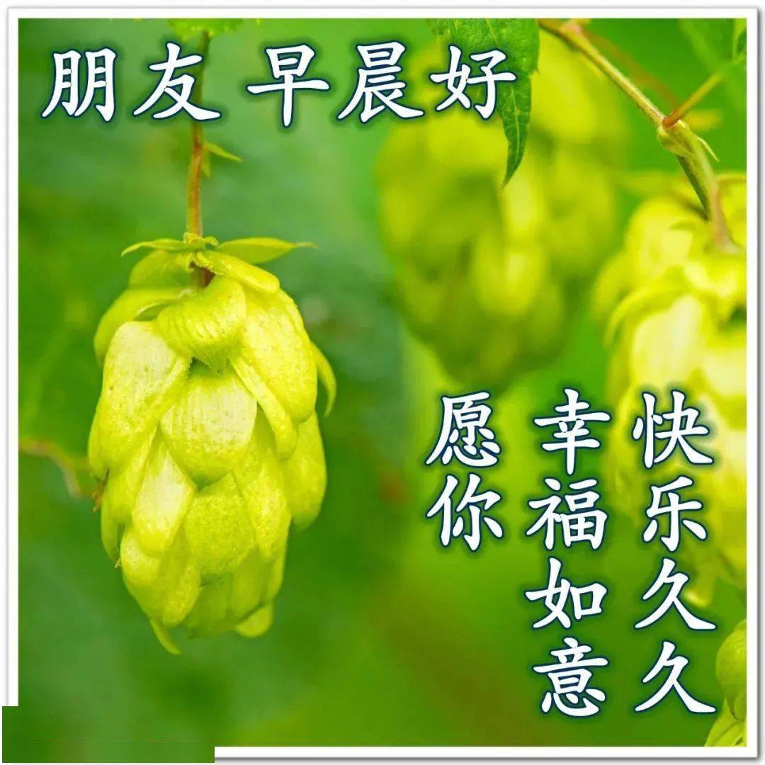 8张最美风景早上好祝福图片带字,温馨 好看的清新早安祝福图片带祝福