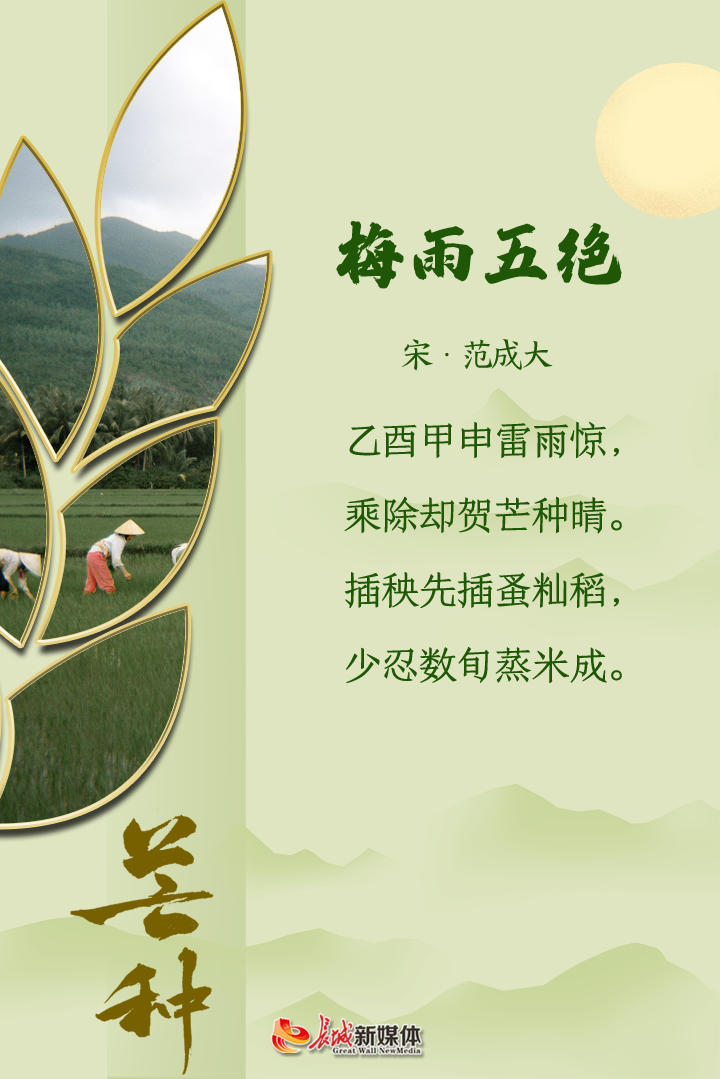 芒种61诗节 | 风吹麦成浪 蝉鸣夏始忙