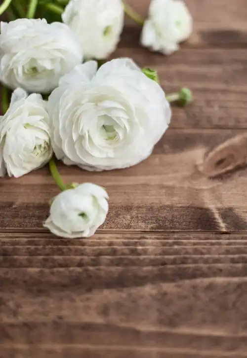 清新素雅背景图