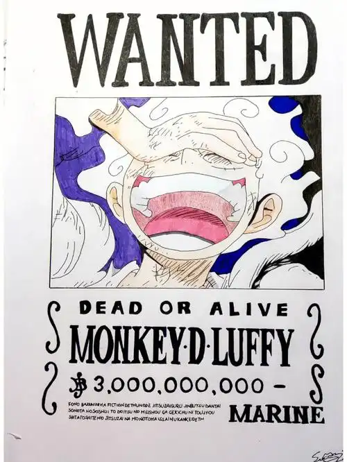 路飞悬赏单恭喜破30亿有点晚09