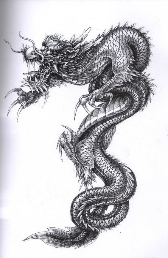 多款帅气的黑灰色龙纹身图案手稿