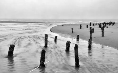 几张海边的怀旧黑白照