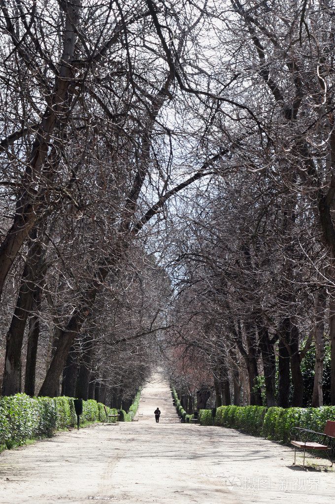 男子在公园独自行走路径