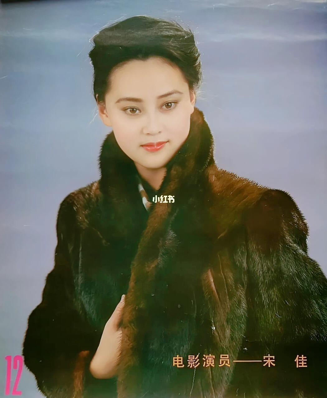 80年代的大宋佳