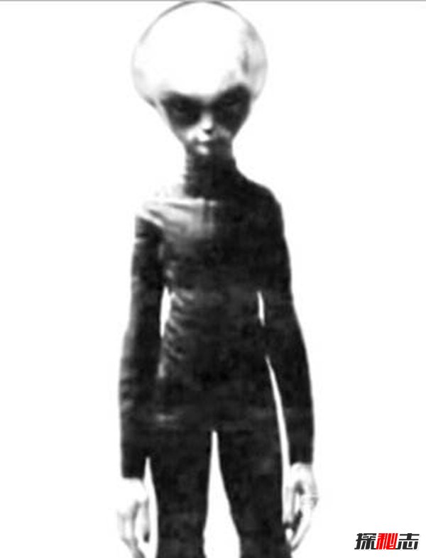 齐塔人和昴宿星人地球上真实存在的外星人