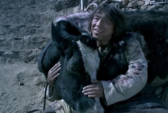 《斗牛》电影解说 一人一牛讨生活,黄渤展现影帝级的表演 爆赞