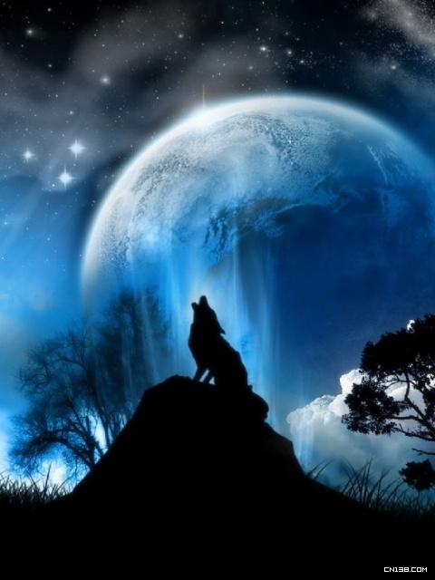 求图片狼的就是那种在满月的时候在山顶嚎叫的越多越好尽量透着凄清