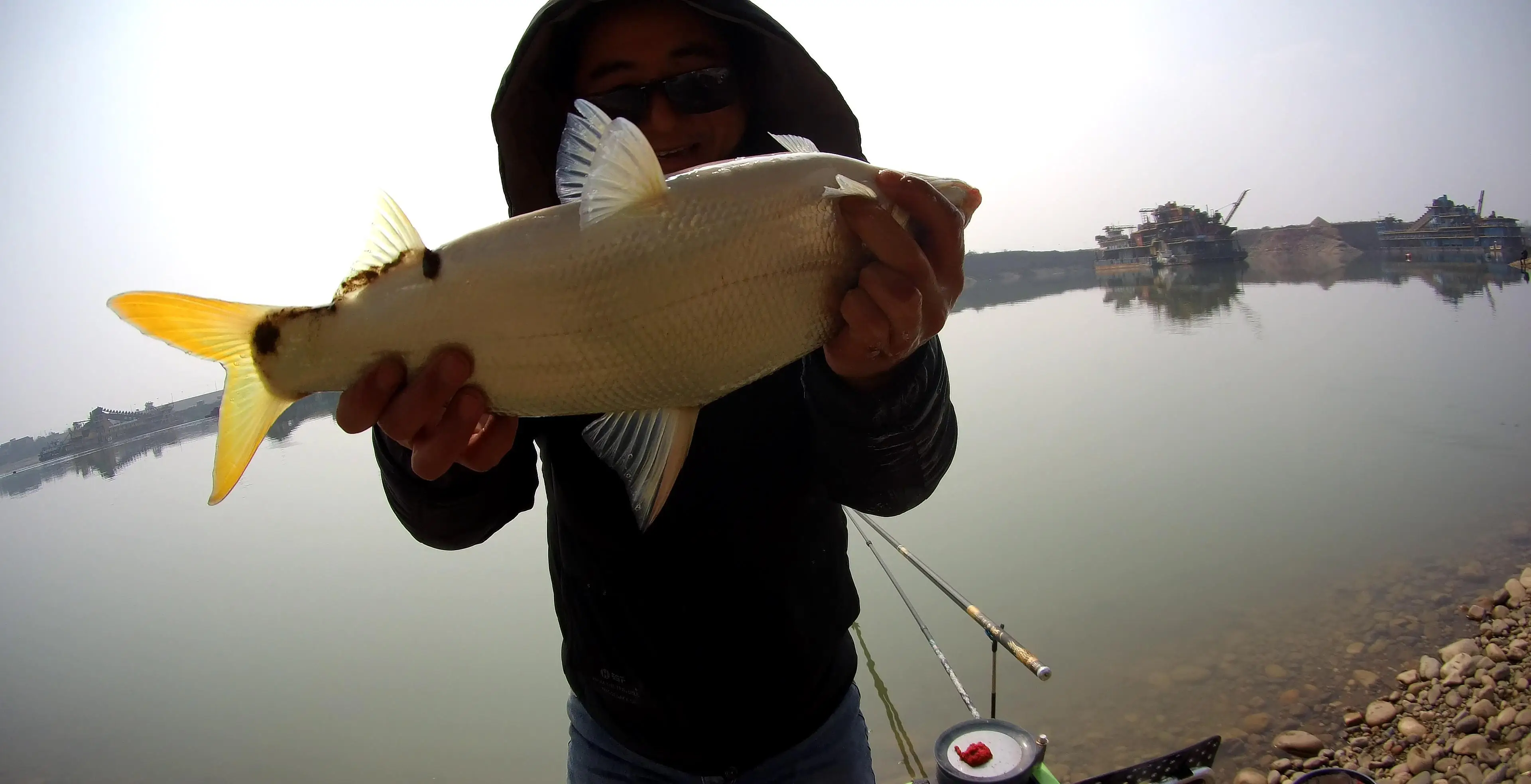 年终总结:评价一下今年钓到的鱼,分享一下心得_鲤鱼_白眼_大口