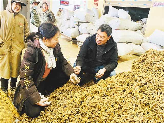 老板不怕吃亏 工厂不断"长大"