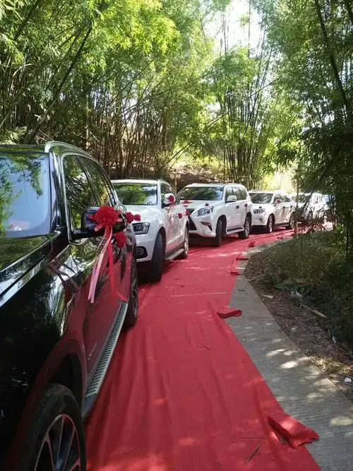 迎亲车队,绝对的高级豪华版!