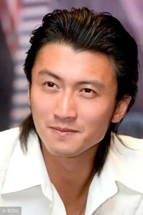 谢霆锋的电视剧,谢霆锋穿越的电视(谢霆锋电视剧有哪些)