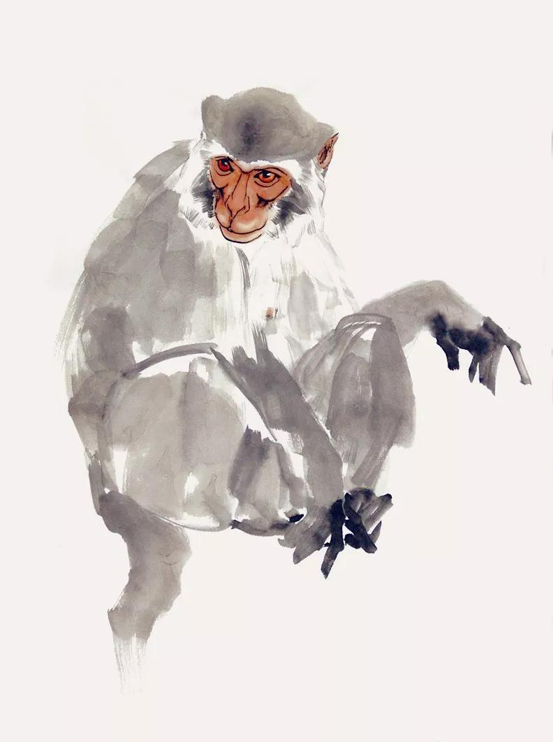 这位大师画猴,妙!