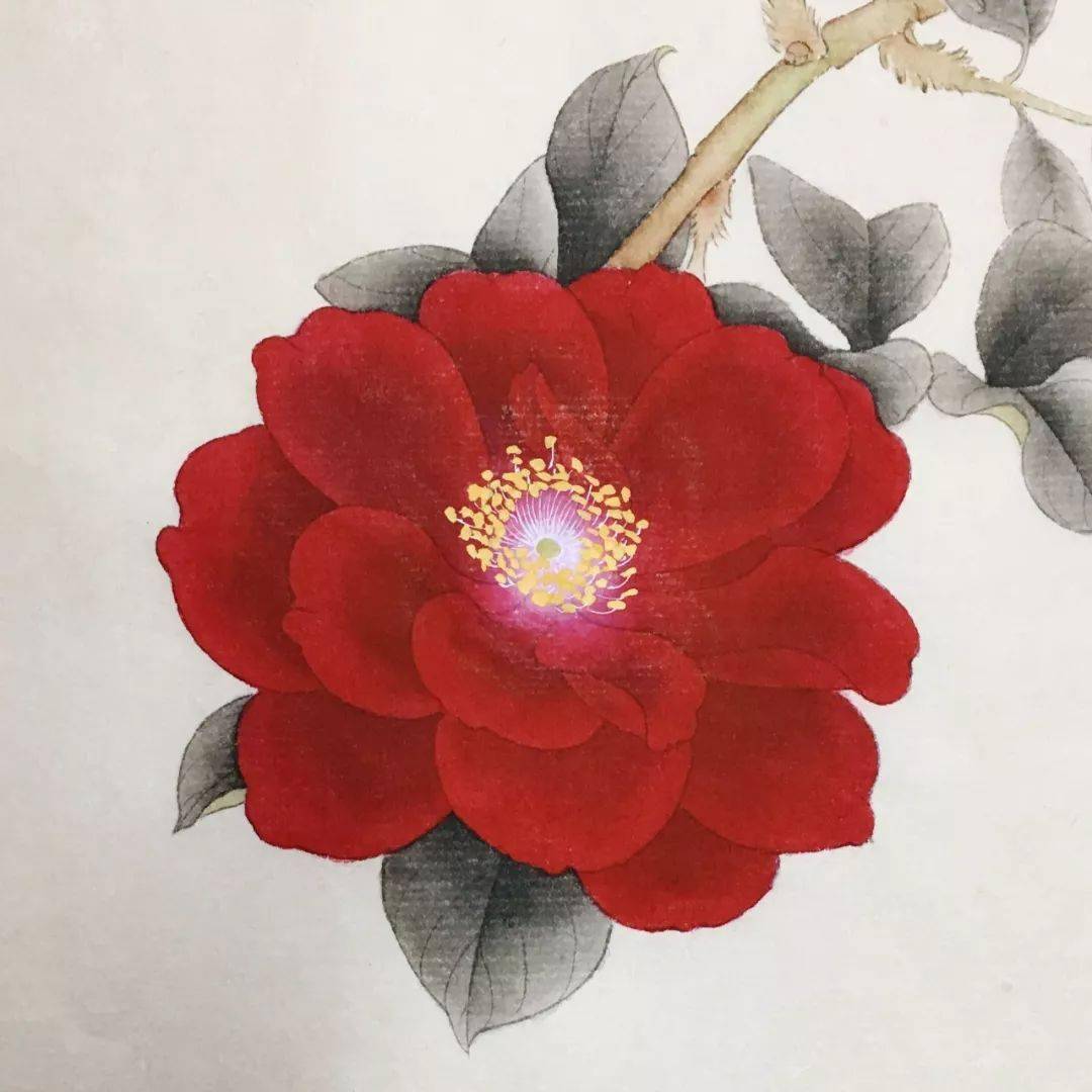 国画教程一朵玫瑰花的工笔写生步骤