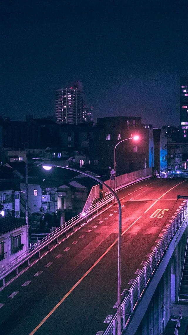 抖音很火的猫壁纸抖音网红星狗壁纸