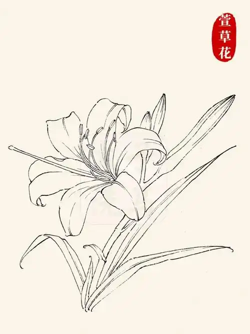 国画入门|94线描/白描花卉合集97第4弹6015