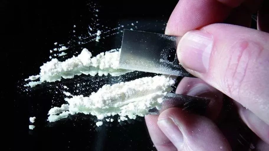 贩毒男子藏山洞10年逃避追捕,新型毒品长啥样?_白粉