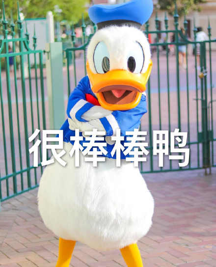 赞美别人不要竖大拇指发玫瑰花,你可以说很棒棒鸭!