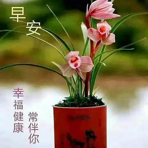 早上好表情图(5) - 美篇