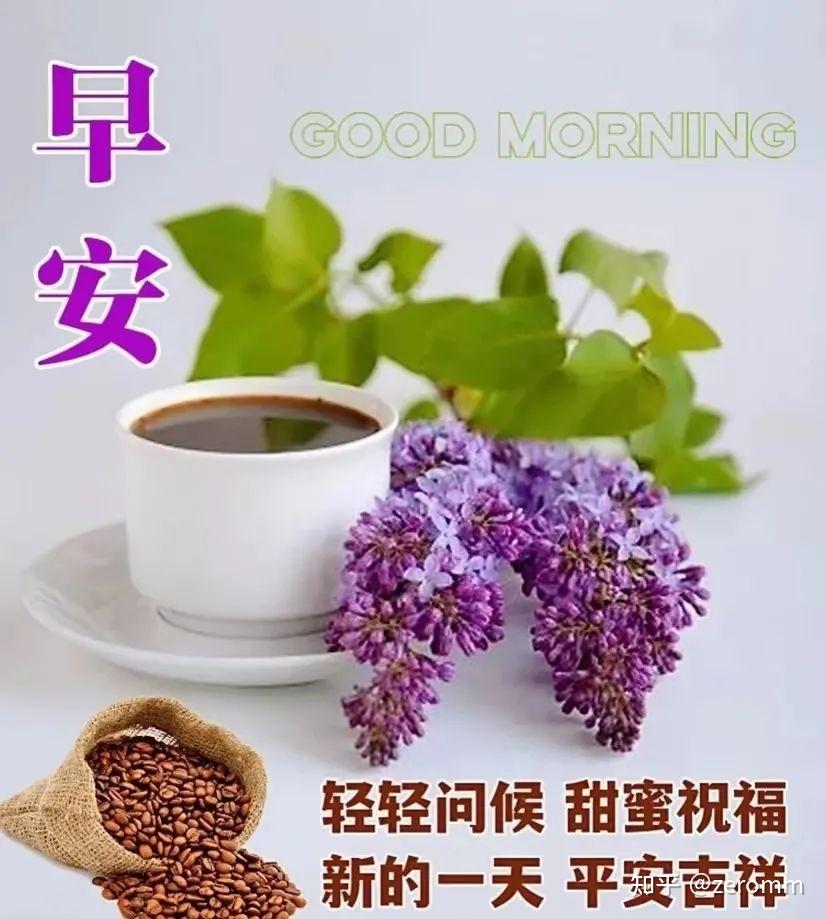 群发亲友的早上好问候祝福语暖心,漂亮的早安图片带祝福语 - 知乎