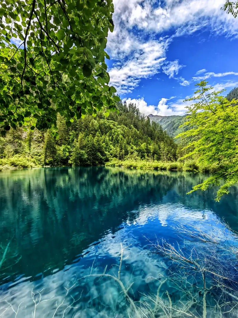 九寨沟夏天的关键词有浪漫,理想,情感,旖旎风景是极具浪漫主义的山水