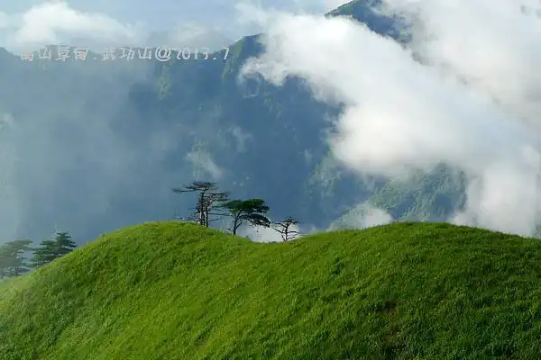小马的相册-高山草甸---夏天里的武功山