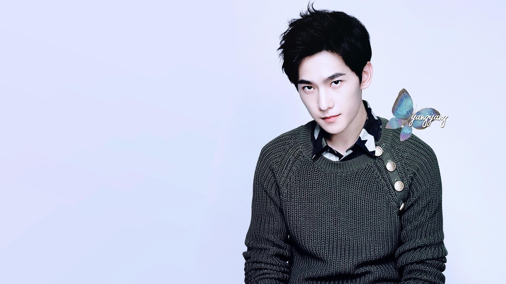 杨洋 帅气 明星风尚壁纸壁纸是一款电脑壁纸,属于明星分类