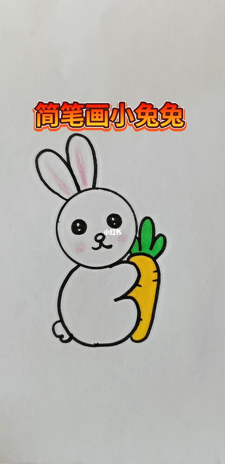 简笔画小兔兔