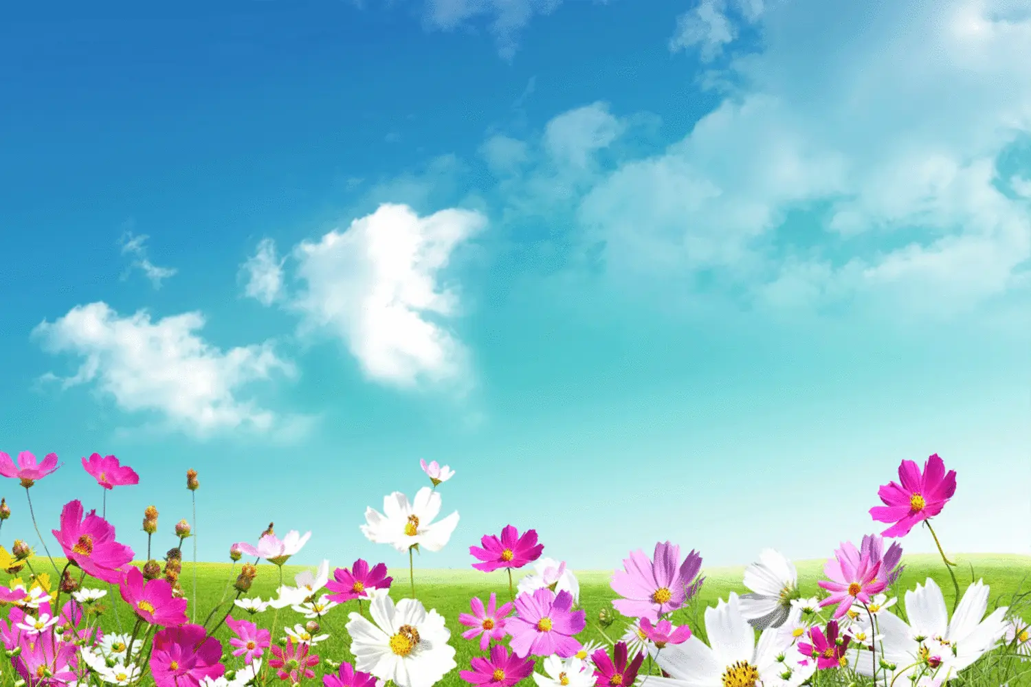 你就是你人生最好的资源