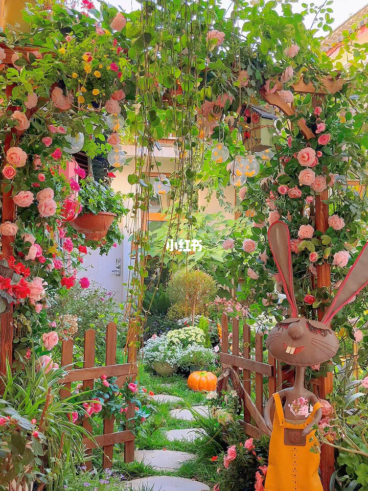 刷爆全网丽江花园民宿一秒进入爱丽丝仙境