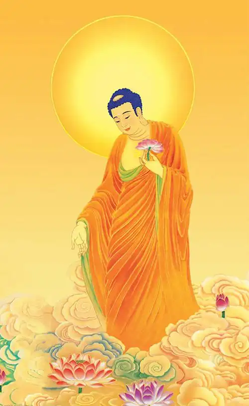 属猪的人的本命佛阿弥陀佛