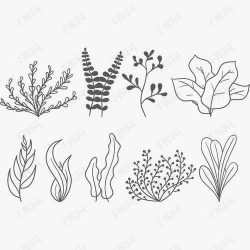 海草海底动物简笔画