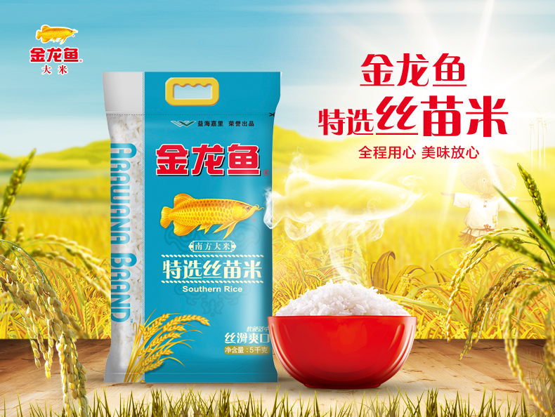 金龙鱼特选丝苗米5kg丝苗米南方大米长粒米十斤jly特选丝苗米5kg1袋
