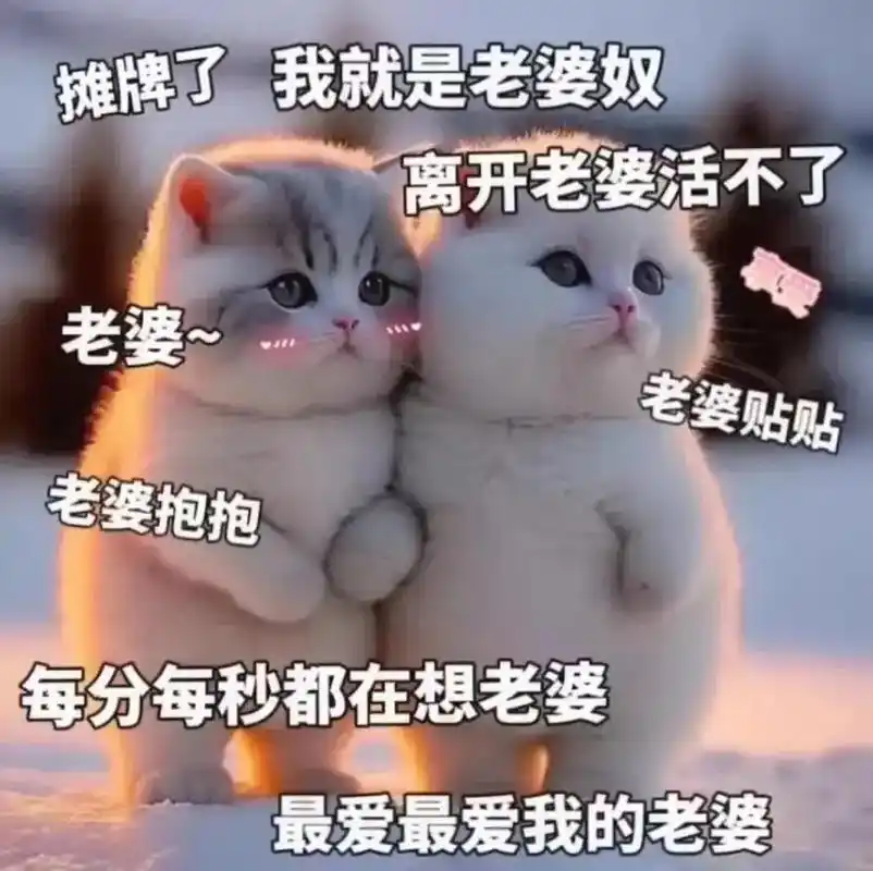 宝 我就是个老婆奴#艾特你想艾特的人 #发给对象表情包 #每 - 抖音