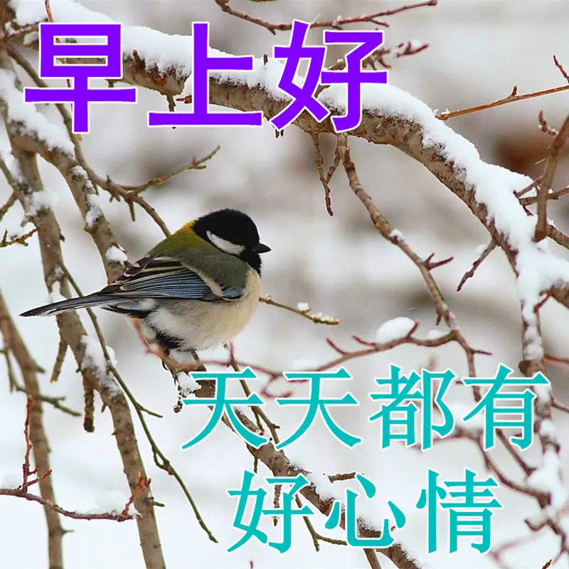 原创7张非常漂亮的早上好图片2022免打字聊天的早安问候祝福语动态