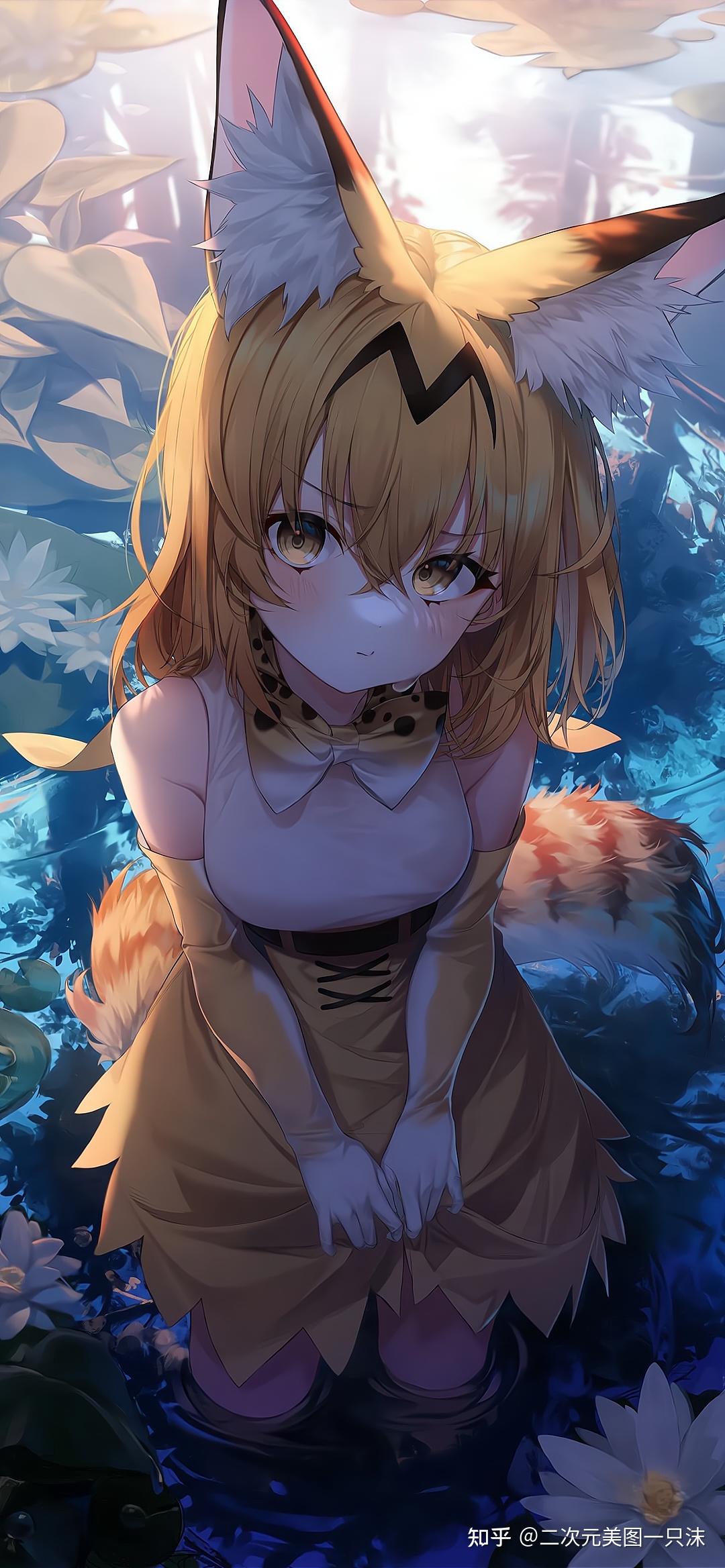 二次元美女 4k 高清壁纸 - 知乎