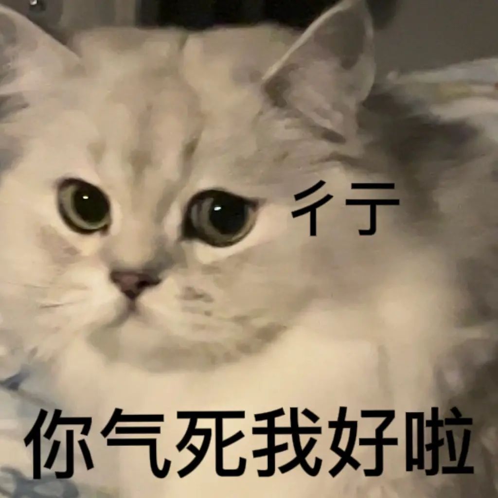 猫表情包沙雕gif可爱网上很火的那只猫的图