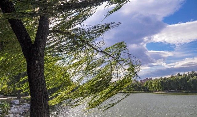 天气预报今日出九第一天刮风有啥说法看看农谚怎么说