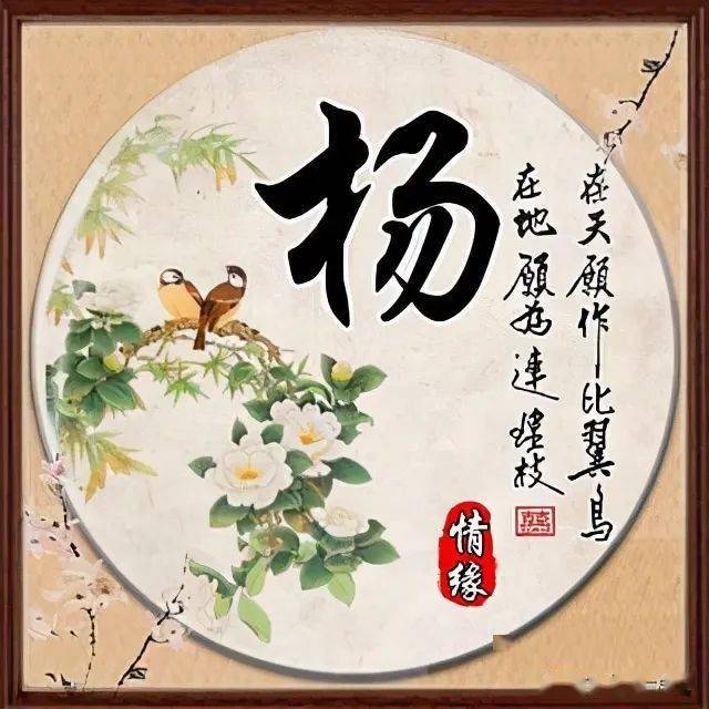 每日一姓百家姓姓氏头像之杨