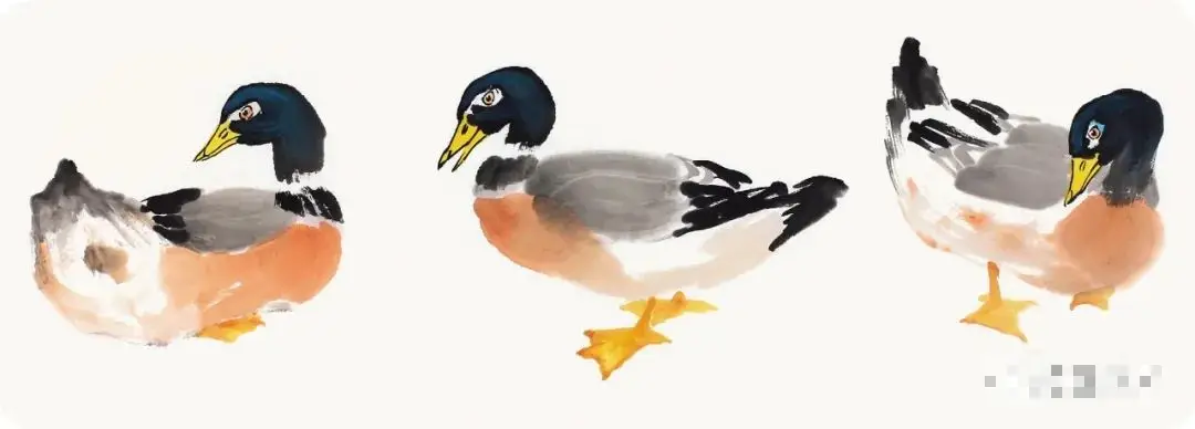 国画教程写意鸭画法