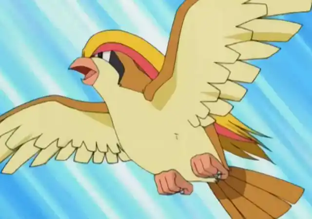 目标是飞行系宝可梦大师家门宠介绍之家门鸟篇