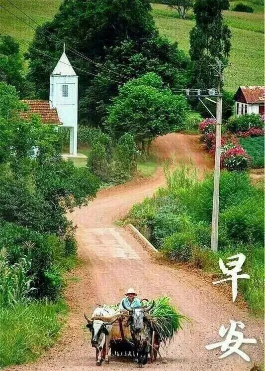 早安带文字温馨问候大家早上好图片全集温馨早上好问候语最美祝福送上