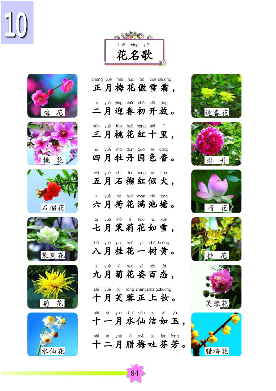 春夏秋冬 六 《花名歌》 - 智慧山