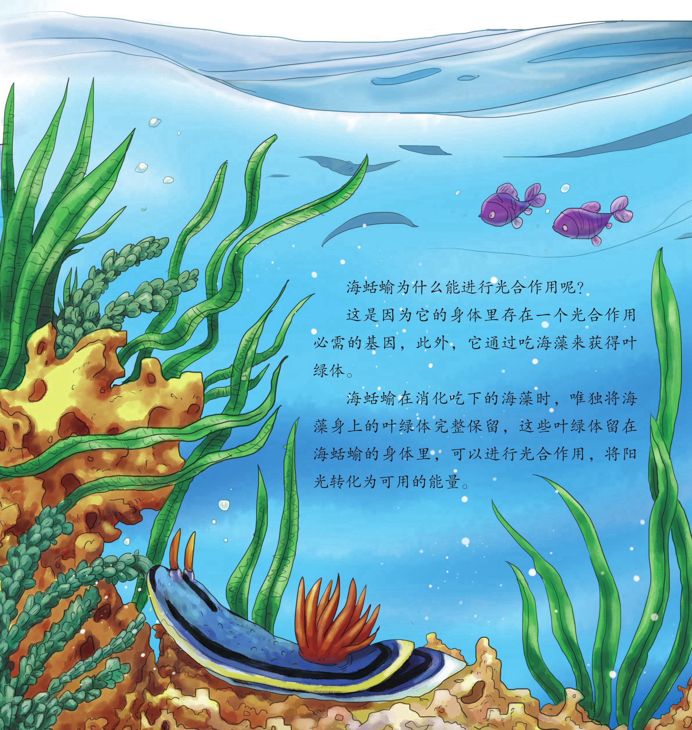 儿童绘本故事推荐《海洋里的怪物中》