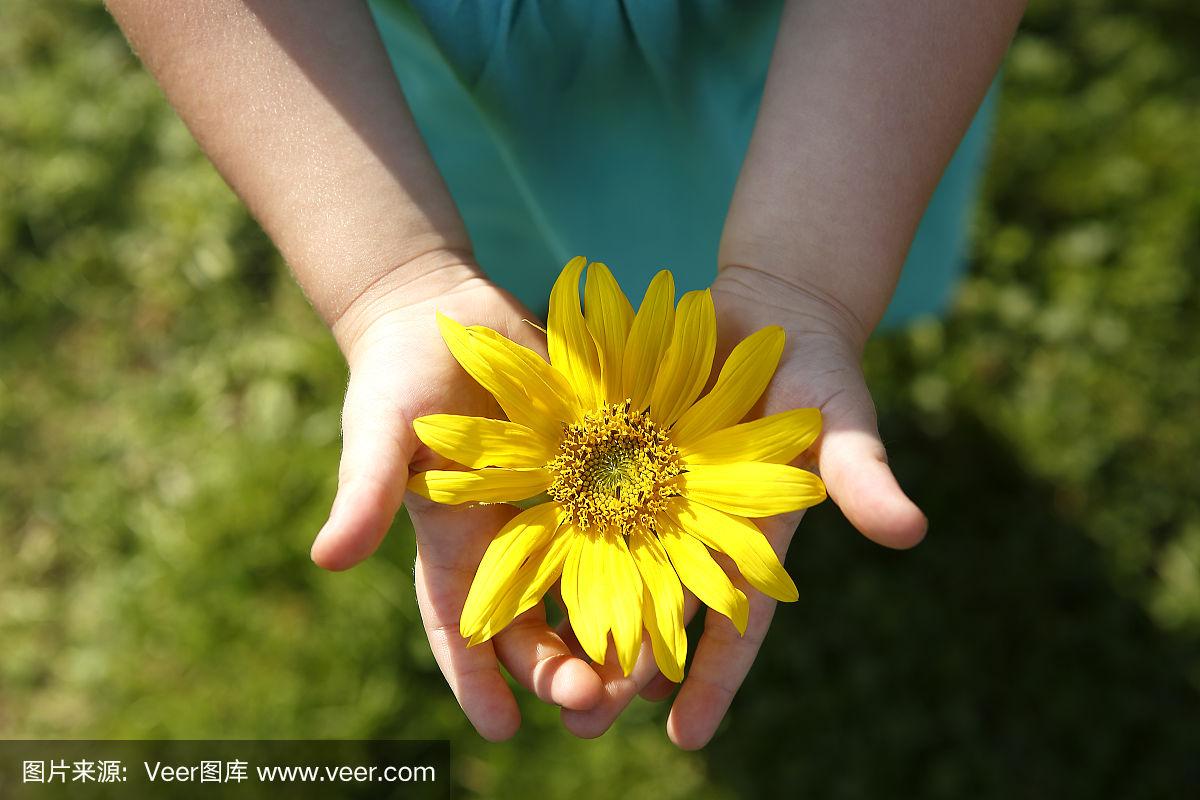 小女孩手里捧着一朵美丽的向日葵