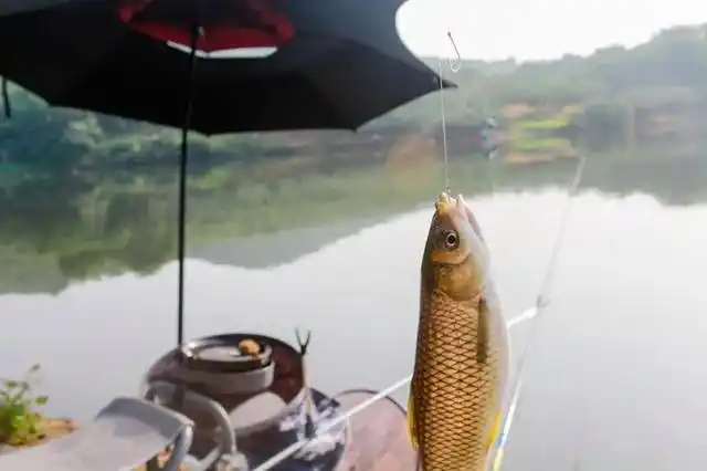 秋天天气渐凉,已经不适合下水,人们抓鱼的兴趣也淡了下来……打鱼大