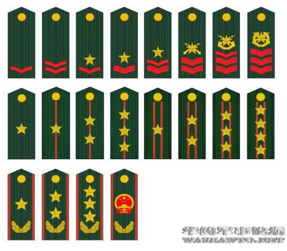 见到有些武警军官简章跟警察的差不多两道都是竖起来不是横着的?