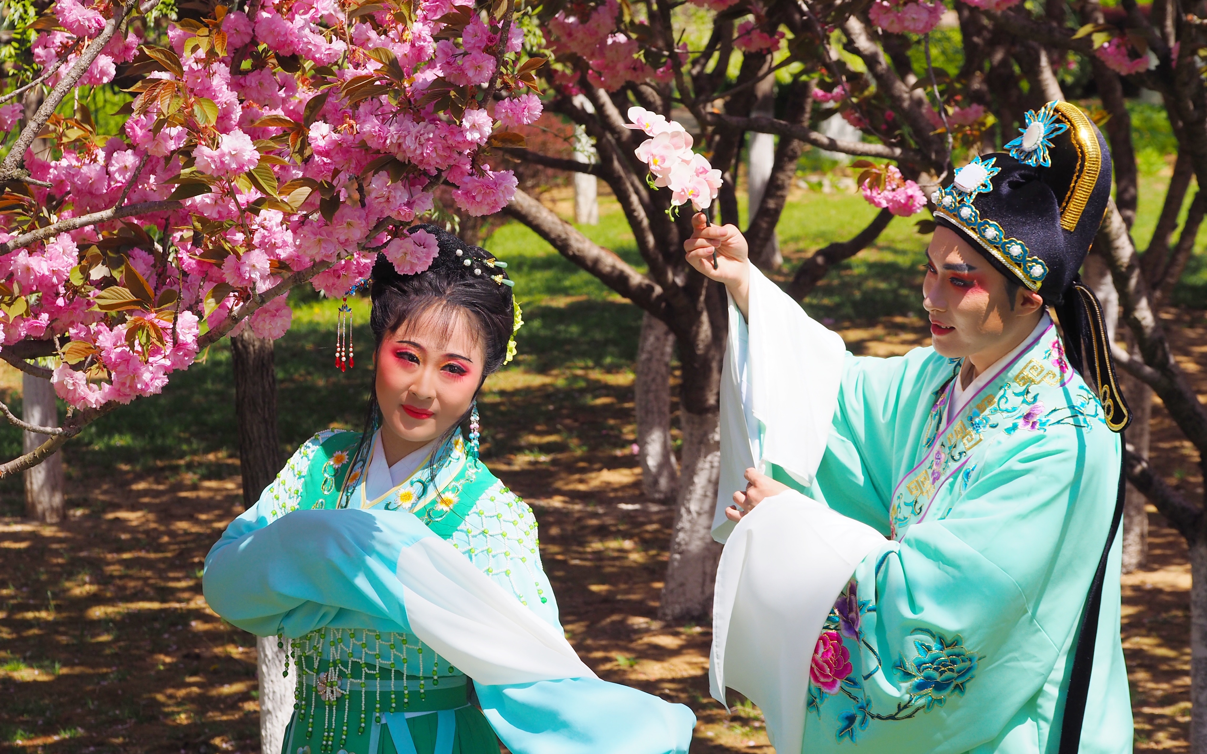 4.30外景|文秀兰英晒太阳脸黢黑